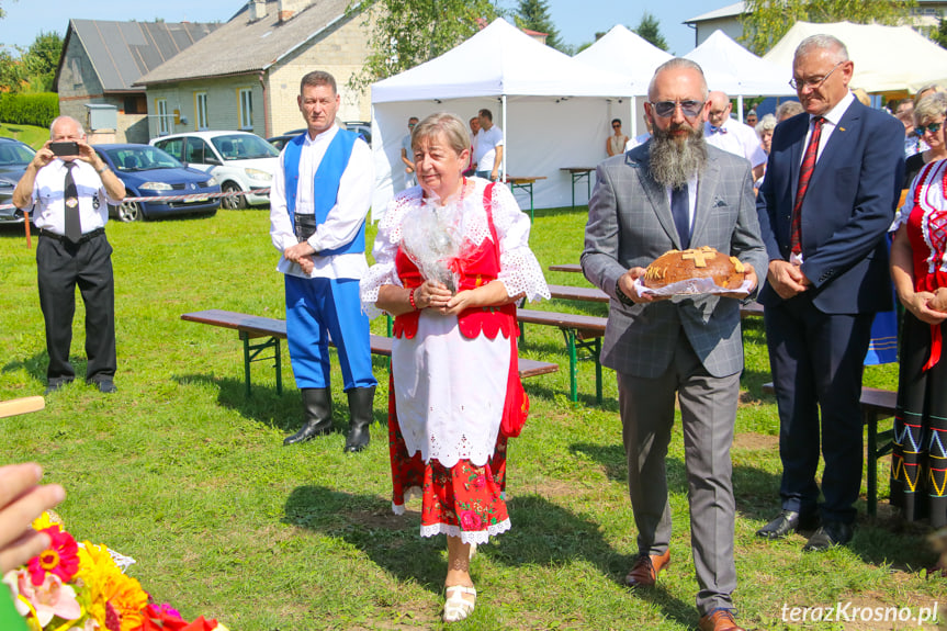 Dożynki gminne w Łężanach