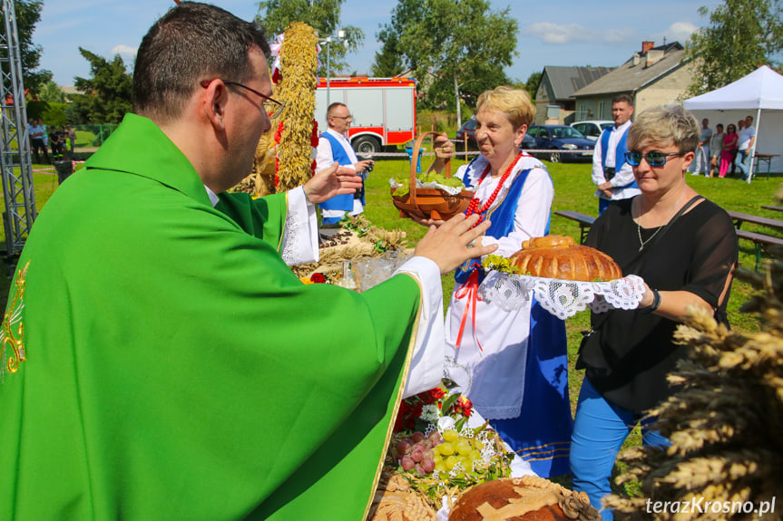 Dożynki gminne w Łężanach