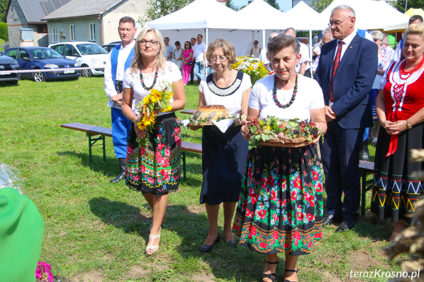 Dożynki gminne w Łężanach