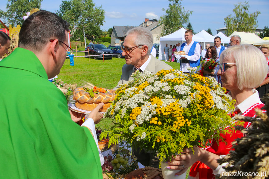 Dożynki gminne w Łężanach