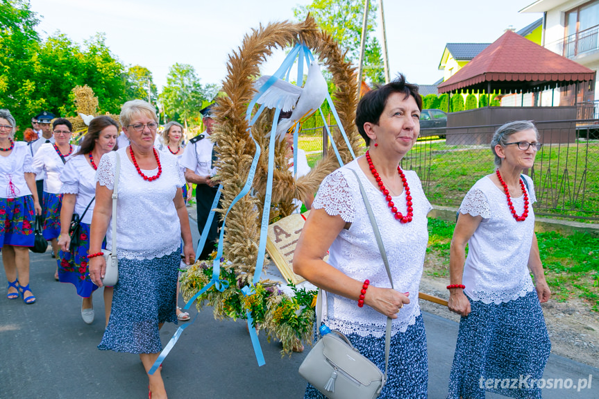 Dożynki Gminy Chorkówka w Kobylanach