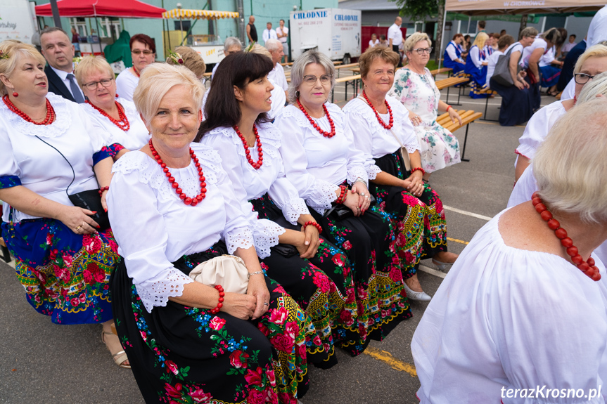 Dożynki Gminy Chorkówka w Świerzowej Polskiej