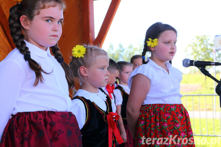 Dożynki Gminy Miejsce Piastowe w Widaczu