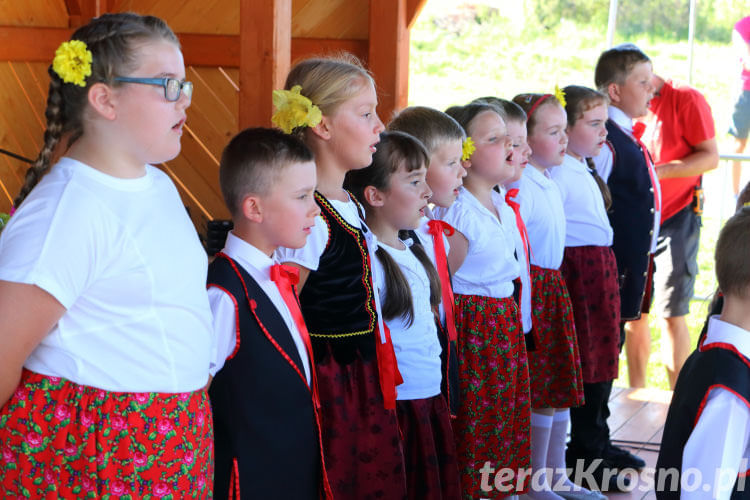 Dożynki Gminy Miejsce Piastowe w Widaczu