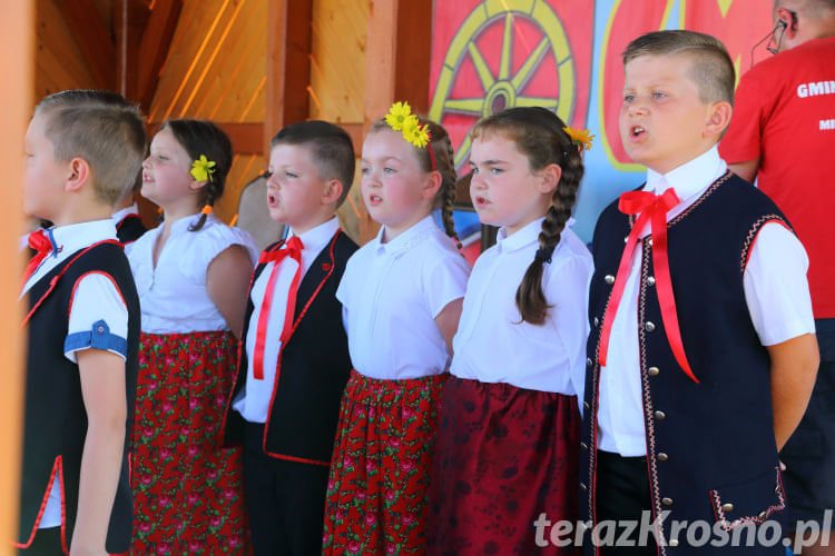 Dożynki Gminy Miejsce Piastowe w Widaczu