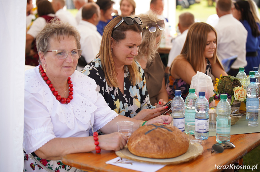 Dożynki Gminy Wojaszówka