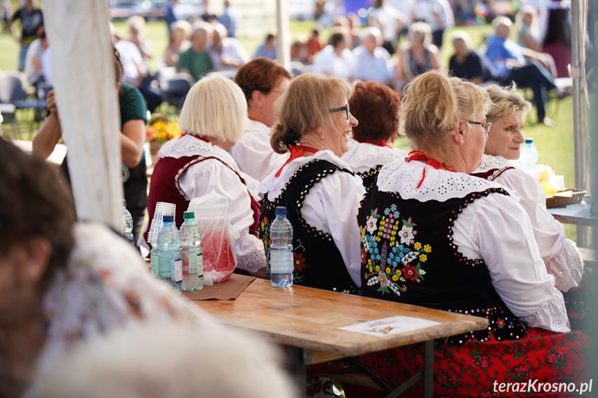 Dożynki Gminy Wojaszówka