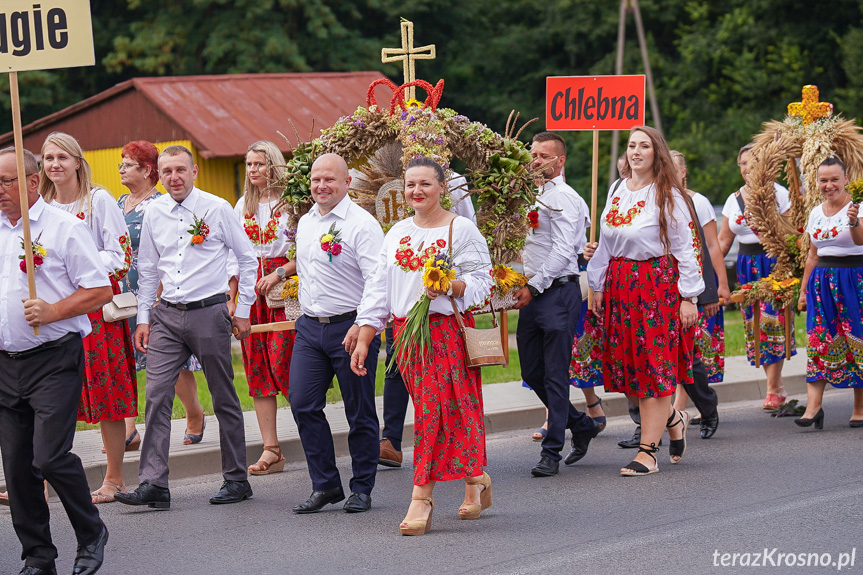 Dożynki w gminie Jedlicze 2024