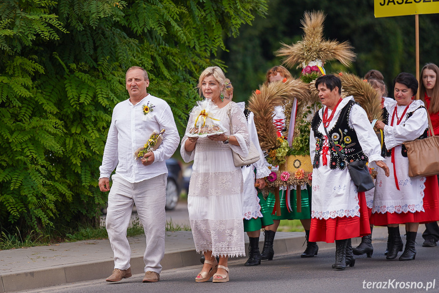 Dożynki w gminie Jedlicze 2024