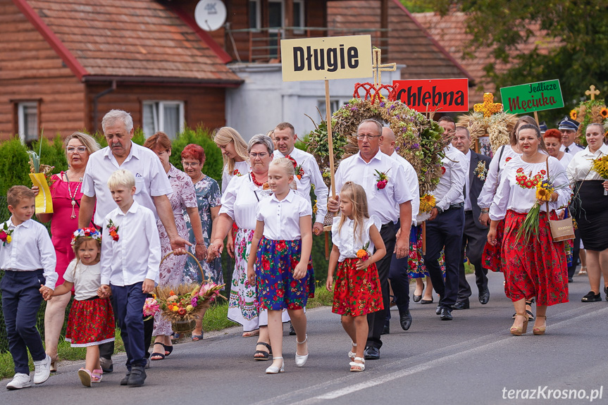 Dożynki w gminie Jedlicze 2024