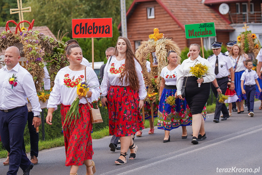 Dożynki w gminie Jedlicze 2024