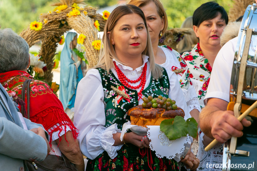 Dożynki w Jasionce