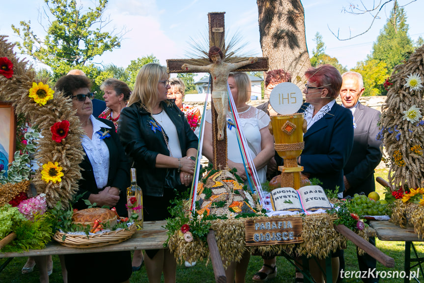 Dożynki w Jasionce