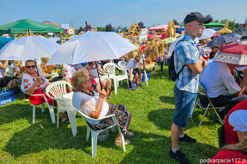 Dożynki w Rzeszowie