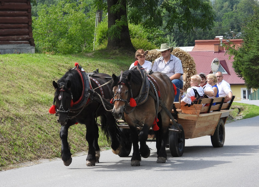 Dożynki Wiejskie w Targowiskach