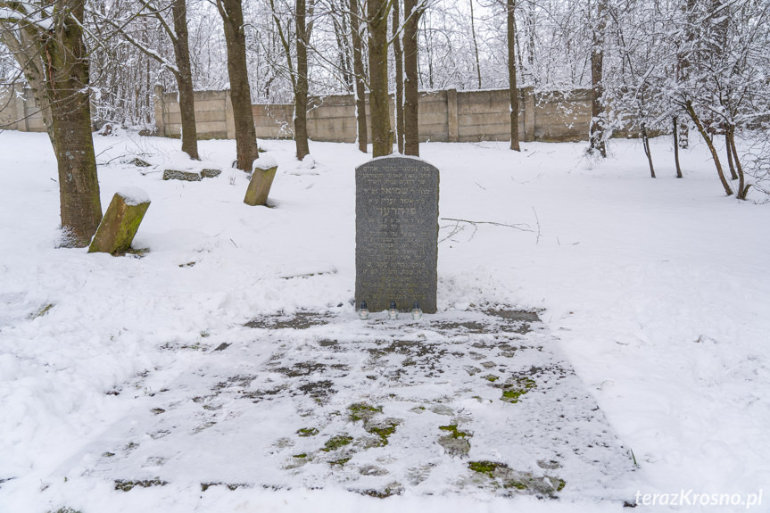 Dzień Pamięci o Ofiarach Holokaustu