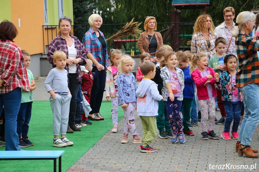 Dzień Pieczonego Ziemniaka w przedszkolu w Krośnie