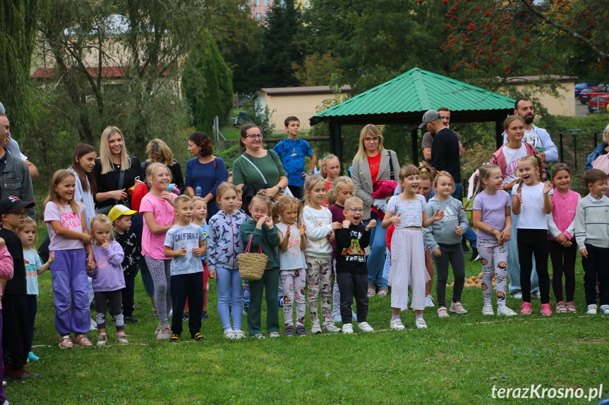 Dzień Pieczonego Ziemniaka w przedszkolu w Krośnie