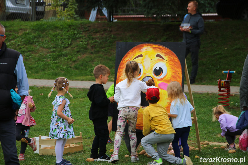 Dzień Pieczonego Ziemniaka w przedszkolu w Krośnie