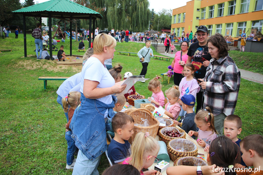 Dzień Pieczonego Ziemniaka w przedszkolu w Krośnie