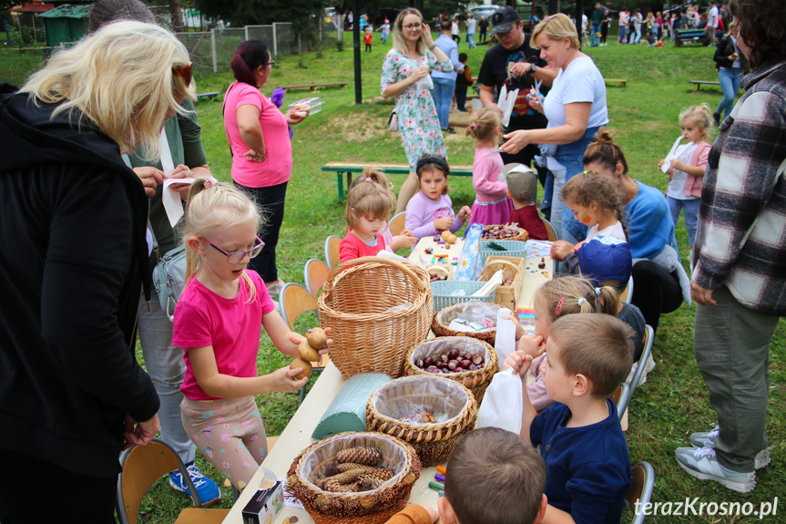 Dzień Pieczonego Ziemniaka w przedszkolu w Krośnie