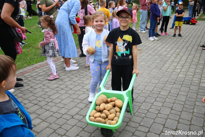 Dzień Pieczonego Ziemniaka w przedszkolu w Krośnie