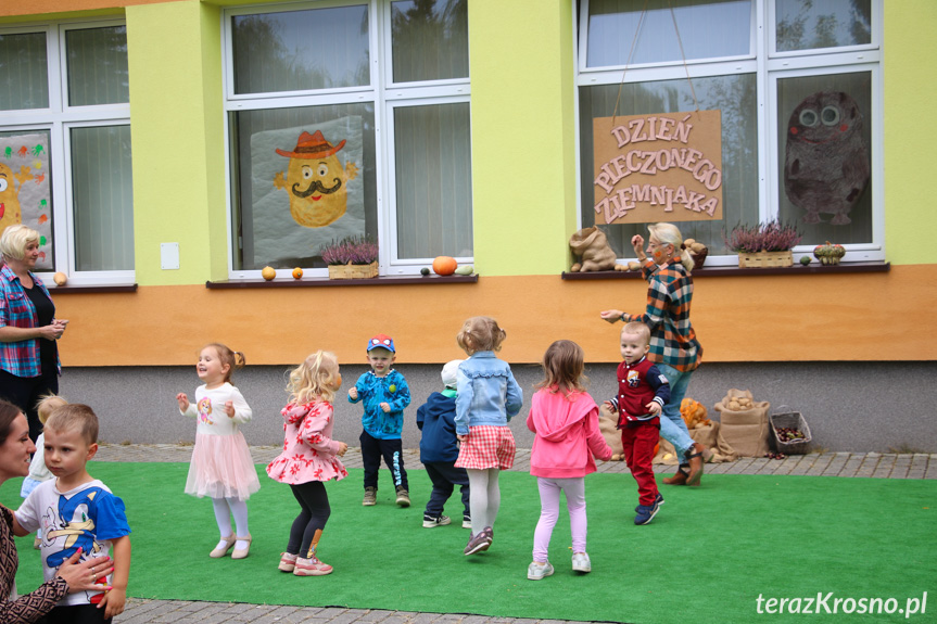 Dzień Pieczonego Ziemniaka w przedszkolu w Krośnie