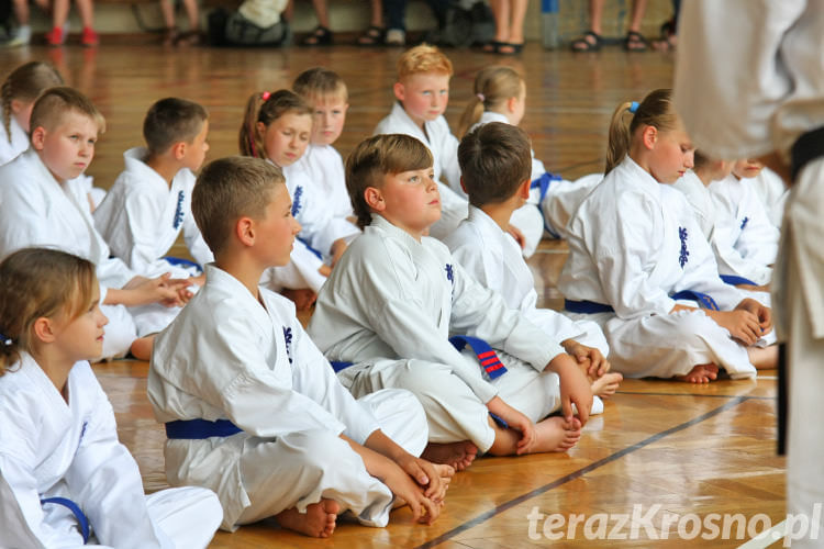 Egzamin na stopnie kyu - Kyokushin Karate Krosno