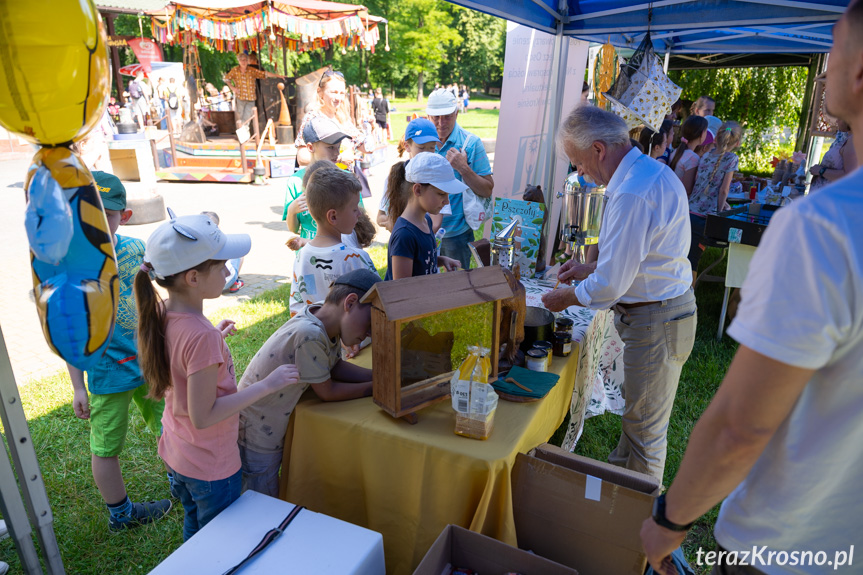 EkoKrosno - piknik ekologiczny w Ogródku Jordanowskim