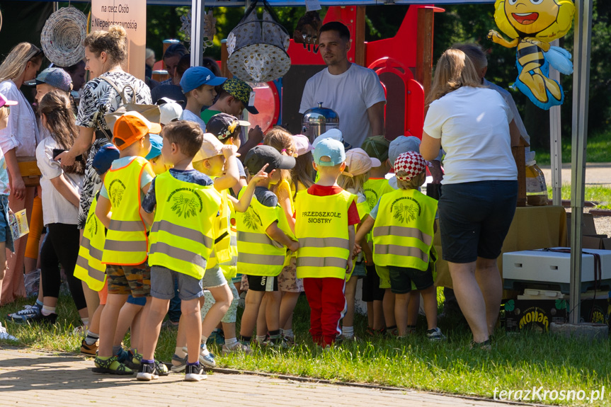 EkoKrosno - piknik ekologiczny w Ogródku Jordanowskim