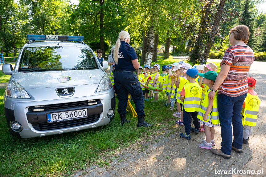 EkoKrosno - piknik ekologiczny w Ogródku Jordanowskim