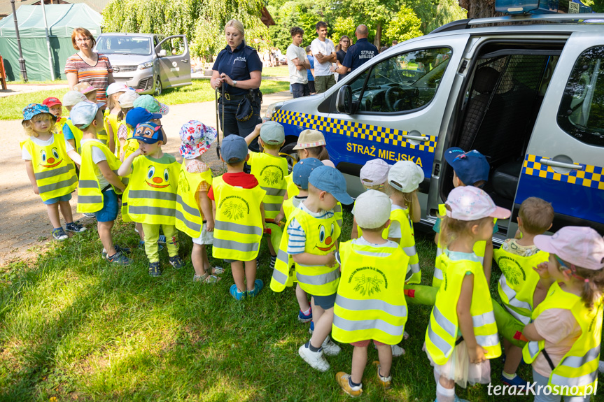 EkoKrosno - piknik ekologiczny w Ogródku Jordanowskim