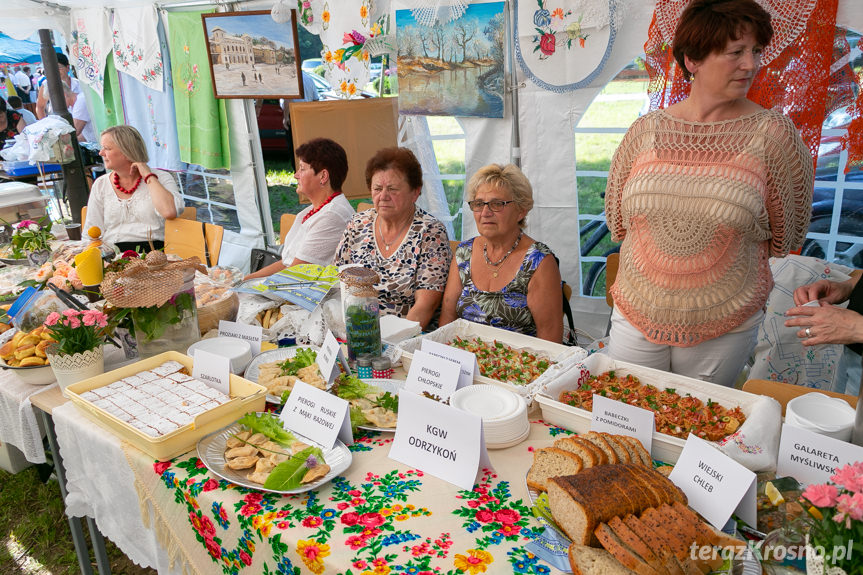 Festiwal Tradycji Kulturalnych i Kulinarnych Gminy Wojaszówka