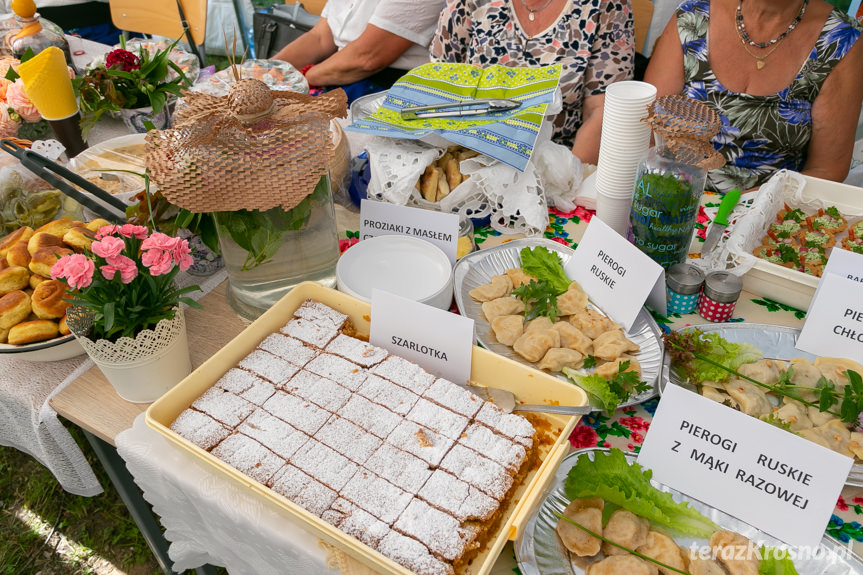 Festiwal Tradycji Kulturalnych i Kulinarnych Gminy Wojaszówka