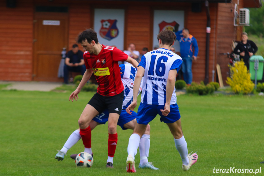 Guzikówka Krosno - Wisłoka Niegłowice 1-4