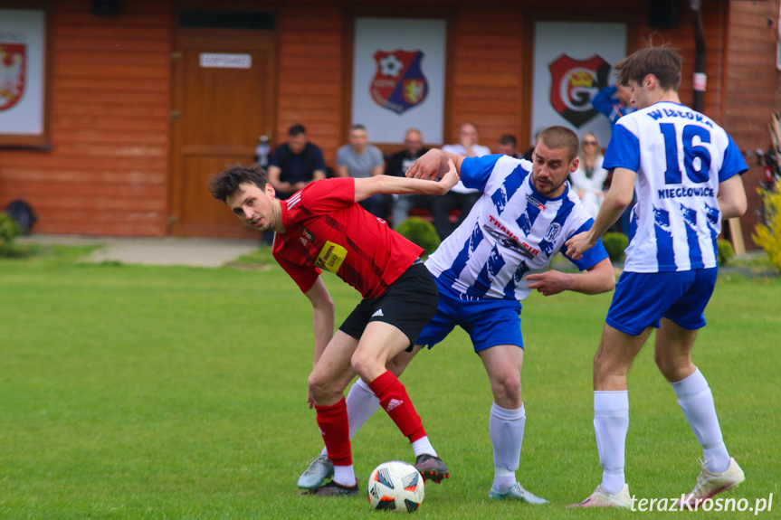 Guzikówka Krosno - Wisłoka Niegłowice 1-4