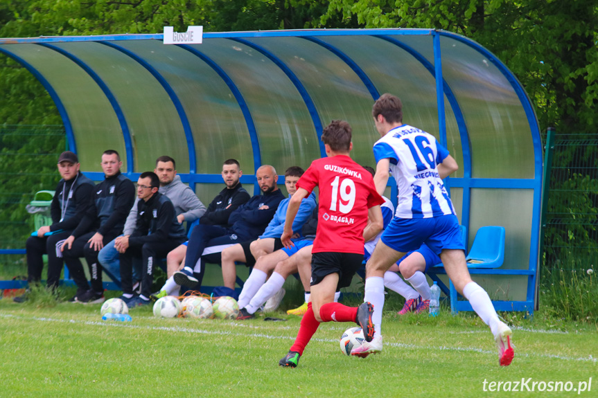 Guzikówka Krosno - Wisłoka Niegłowice 1-4