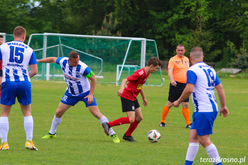 Guzikówka Krosno - Wisłoka Niegłowice 1-4