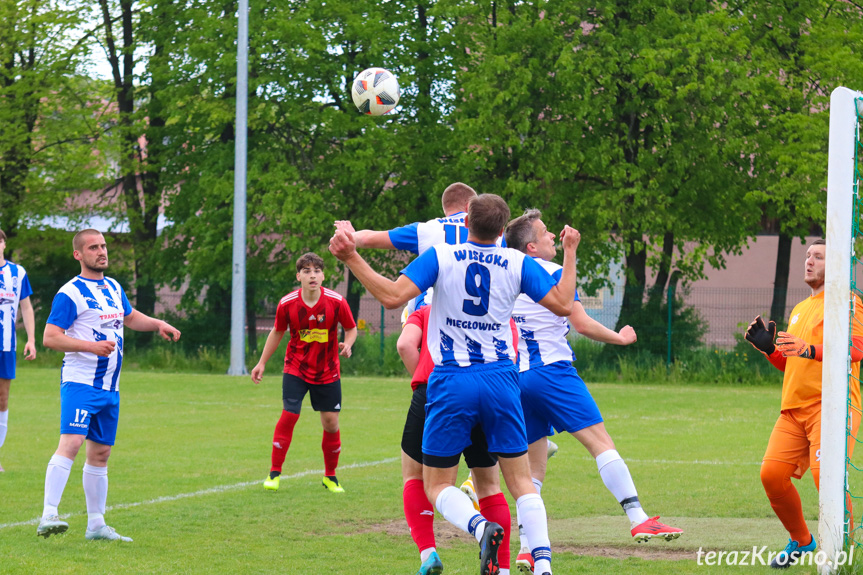 Guzikówka Krosno - Wisłoka Niegłowice 1-4