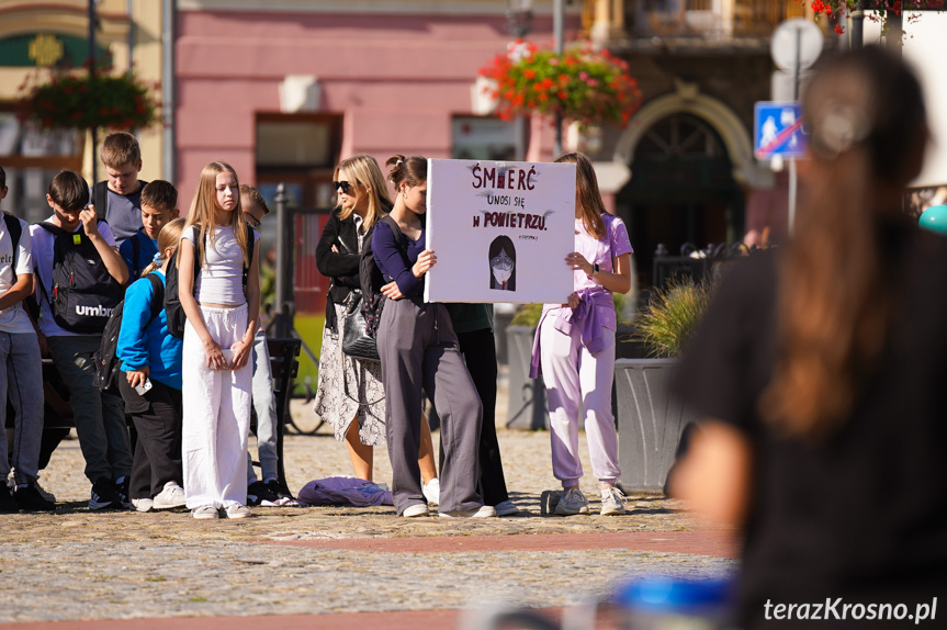 Happening antysmogowy w Krośnie