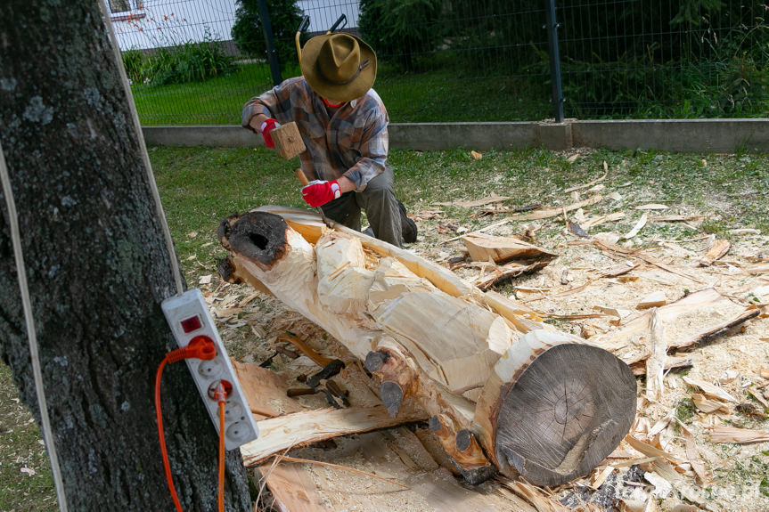 I Plener rzeźbiarski w Krościenku Wyżnym