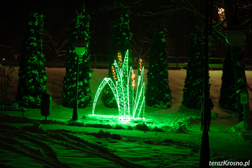 Iluminacje w Rymanowie i Rymanowie-Zdroju