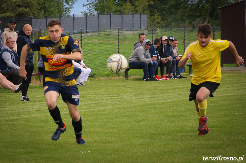 Iskra Wróblik Szlachecki - LKS Wzdów 13:0