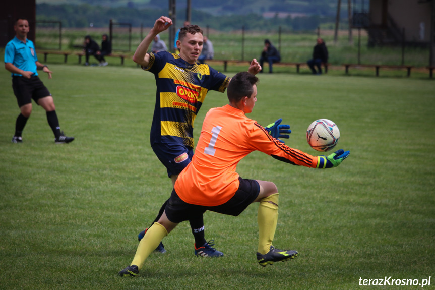 Iskra Wróblik Szlachecki - LKS Wzdów 13:0