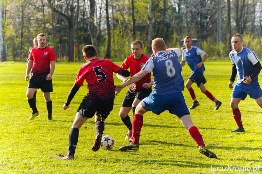 Jasiołka Świerzowa Polska - Rędzinianka Wojaszówka 1:4