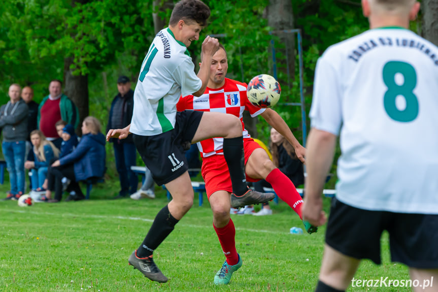 Jasiołka Świerzowa Polska - Zorza 03 Łubienko 1:1