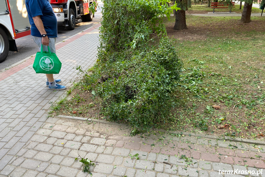 Kolizja na Batorego w Krośnie