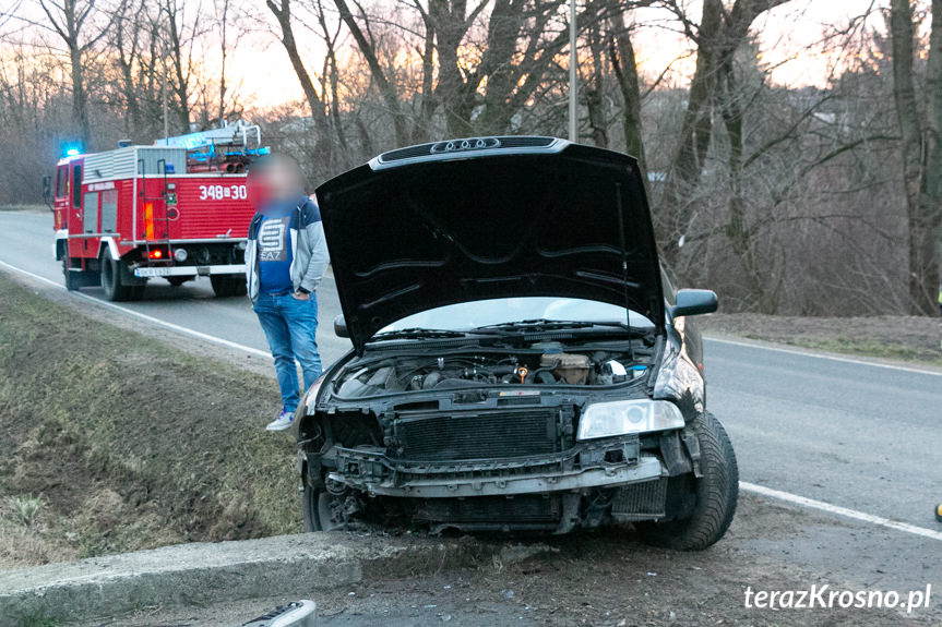 Kolizja w Posadzie Górnej