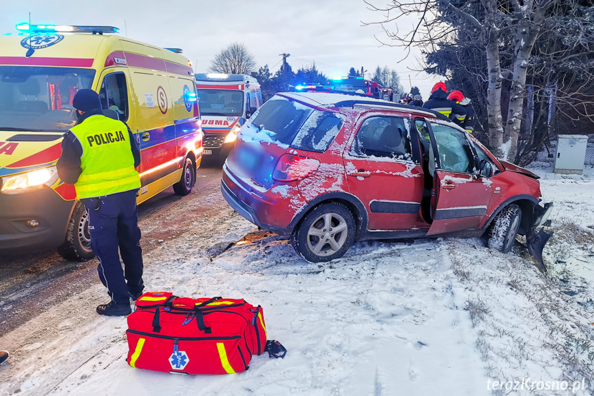 Kolizja w Świerzowej Polskiej