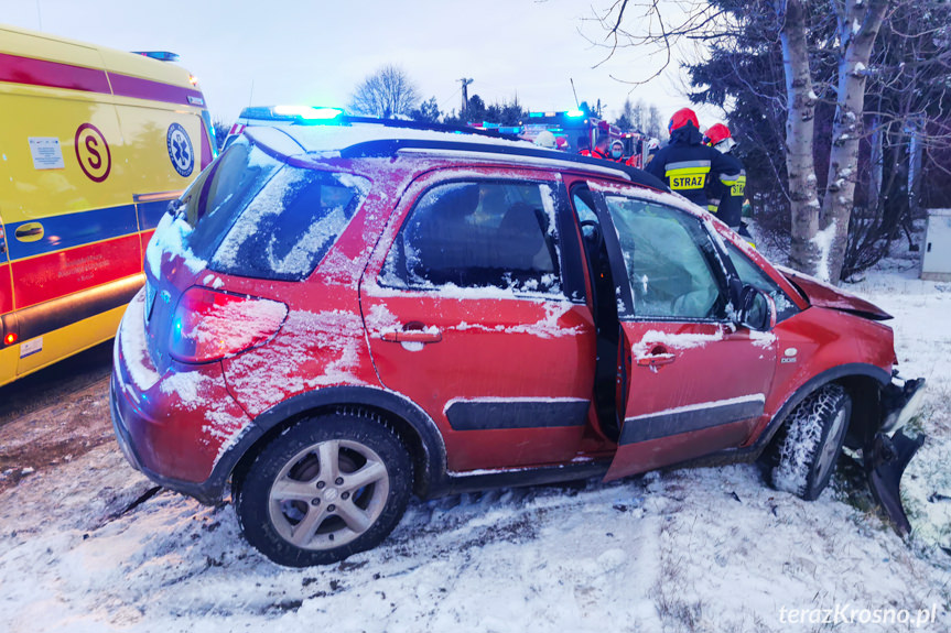 Kolizja w Świerzowej Polskiej